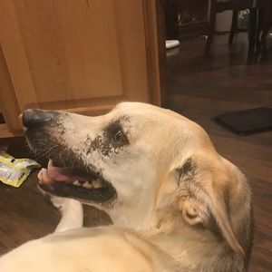 Meet your Posher, Chad